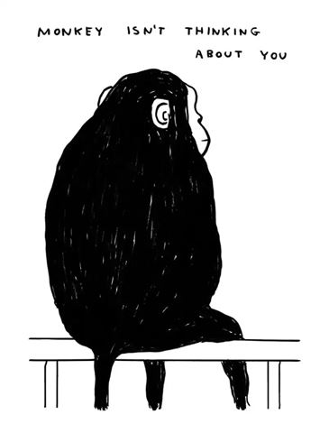 Monkey isn't thinking about you