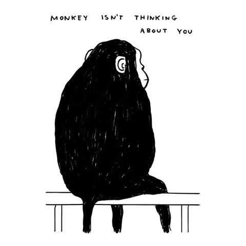 Monkey isn't thinking about you