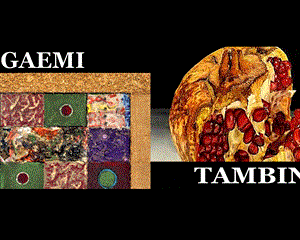 Mostra Personale Gaemi ed Ezio Tambini