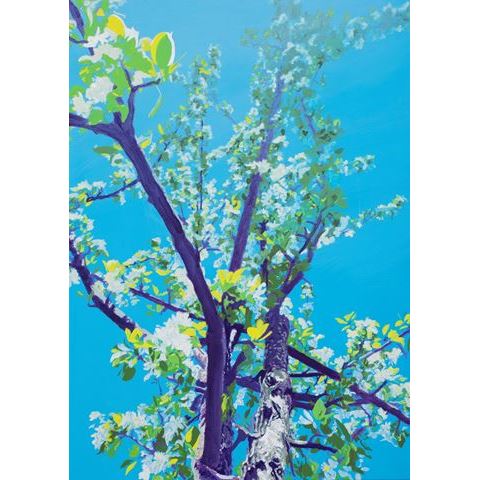 Portrait of an apple tree